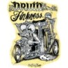 sticker rat fink druid finkness trike et pin up autocollant
