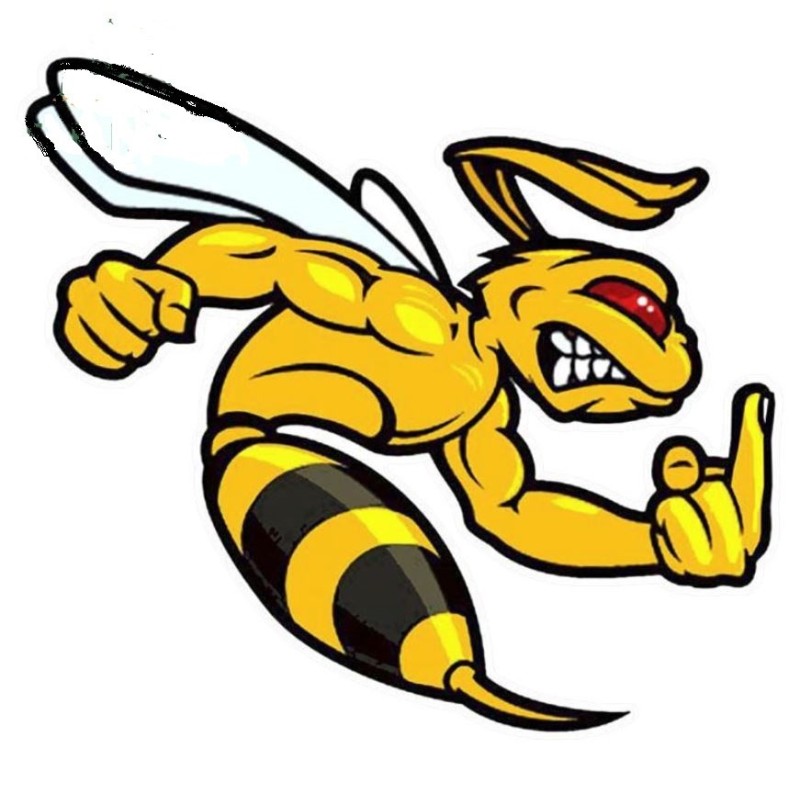 Aufkleber Gelbe und schwarze Biene mit Finger hoch 13x12 cm Rock Roll Hot Rod Aufkleber
